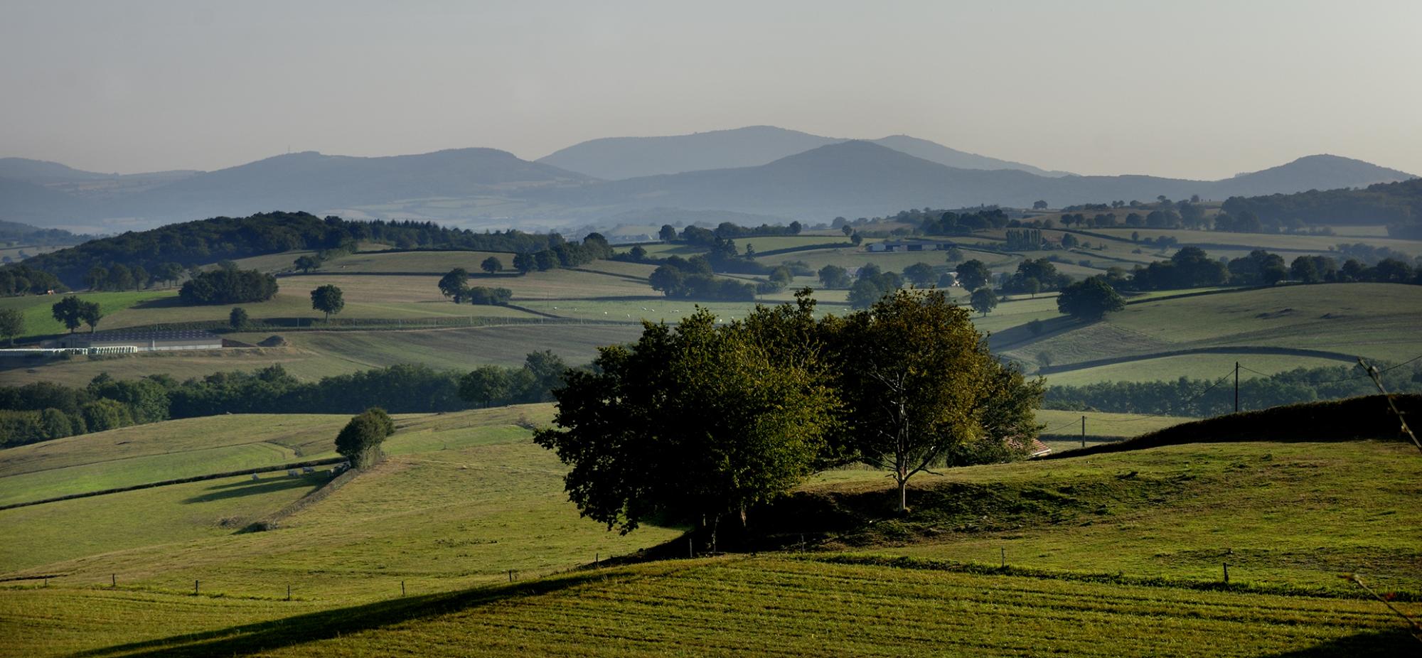 Bibracte, Antoine Maillier, n° 92647 Le mont Beuvray depuis la D 981 entre Fours et Luzy (58)
